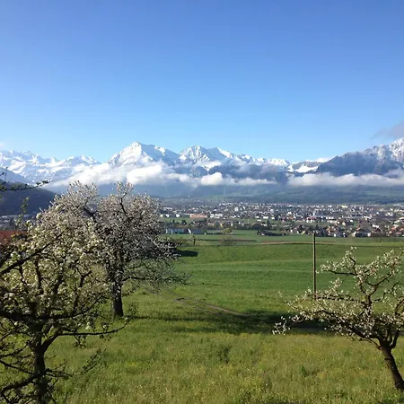 Homestay Bezauberndes Gartentiny Steffisburg