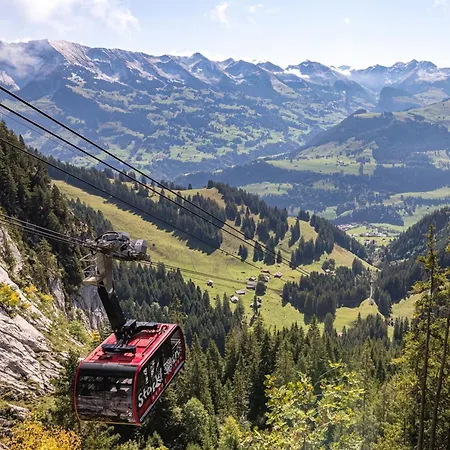 Homestay Bezauberndes Gartentiny